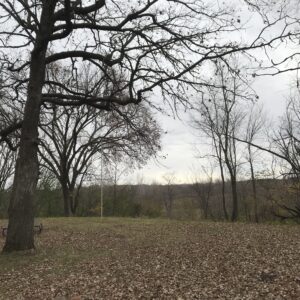 Scenic Overlook Campsite